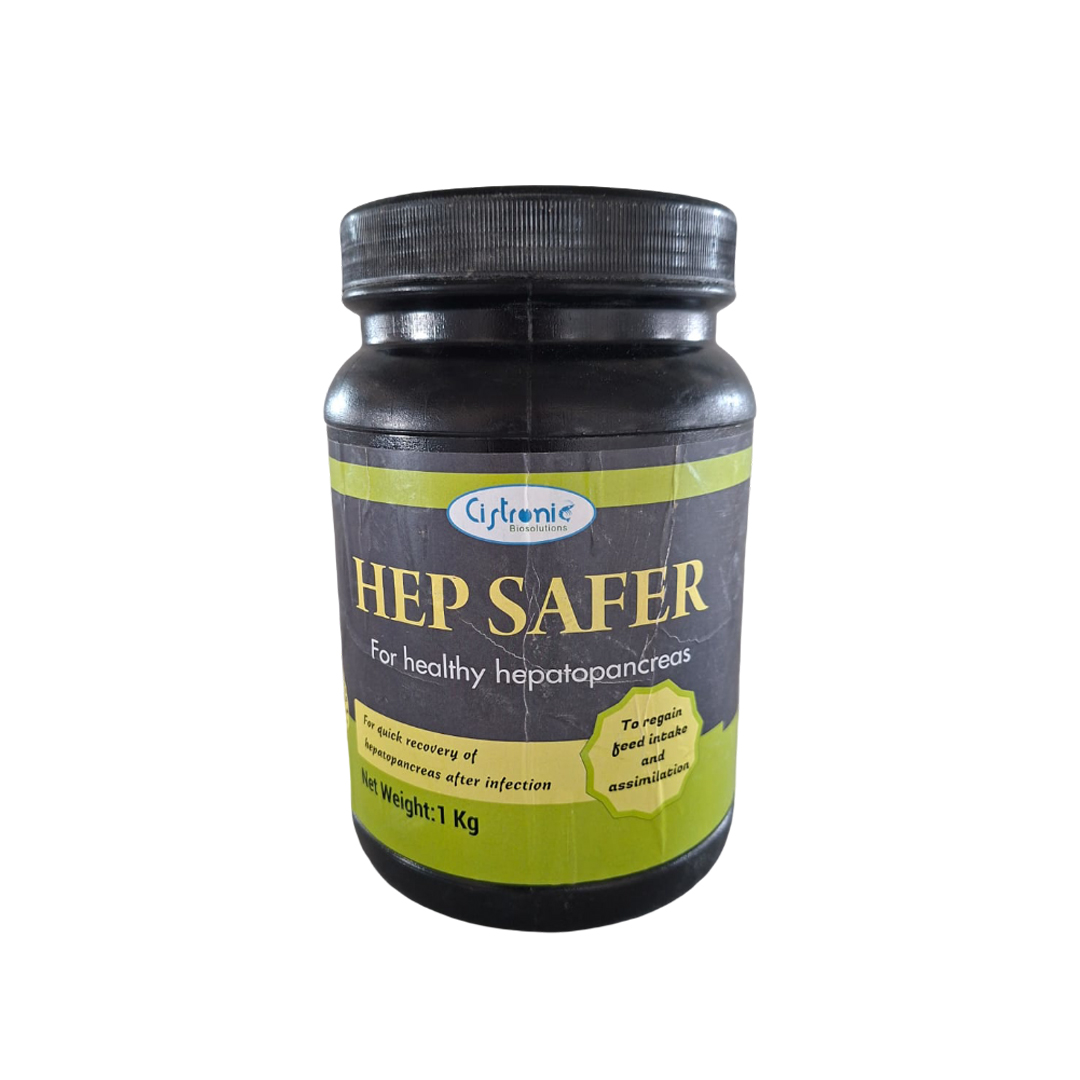 HEP SAFER
